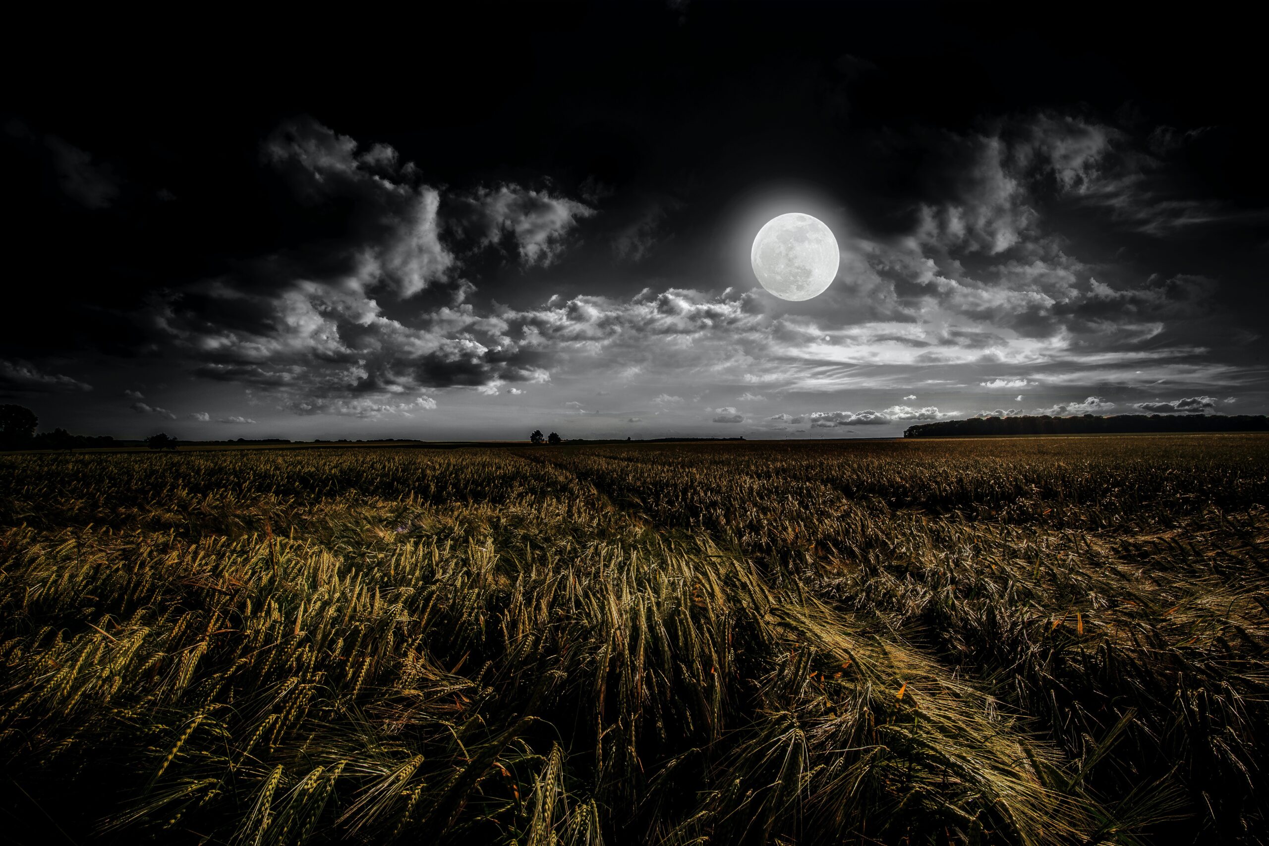 The Dance of the Moon: Agriculture’s Celestial Guide